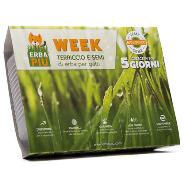 Erba Piu Kit Γρασιδιού για Γάτες Erba Piu Kit Γρασιδιού για Γάτες