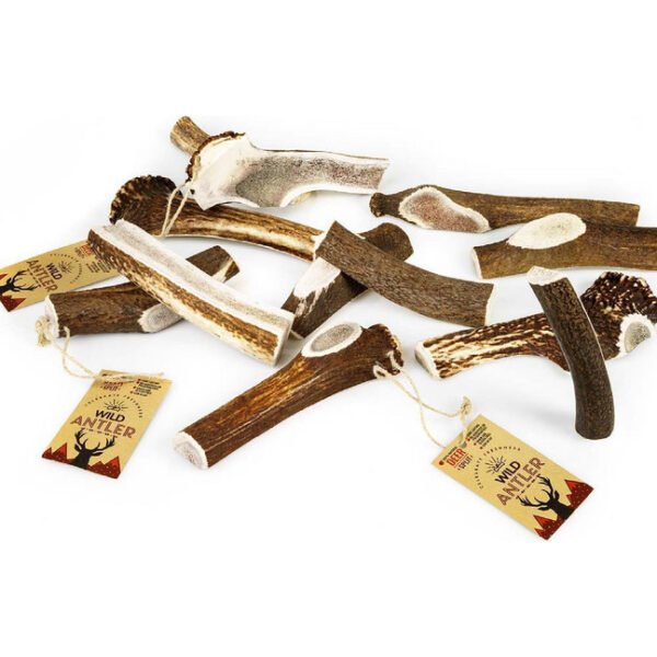 CELEBRATE FRESHNESS Wild Antler - Φυσικό κέρατο Ελαφιού κομμένο στη μέση