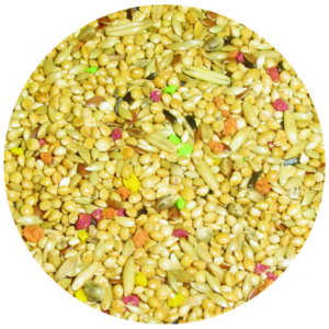 Βudgerigars Premium (1Kg) Βudgerigars Premium (1Kg)