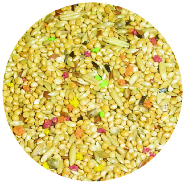 Βudgerigars Premium (1Kg)