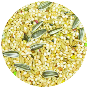 Parakeet Premium (1Kg) Parakeet Premium (1Kg)