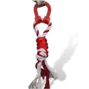 Pet Camelot Παιχνίδι Σκύλου με Οδοντικό Νήμα & Λαβή 38cm Pet Camelot Παιχνίδι Σκύλου με Οδοντικό Νήμα & Λαβή 38cm